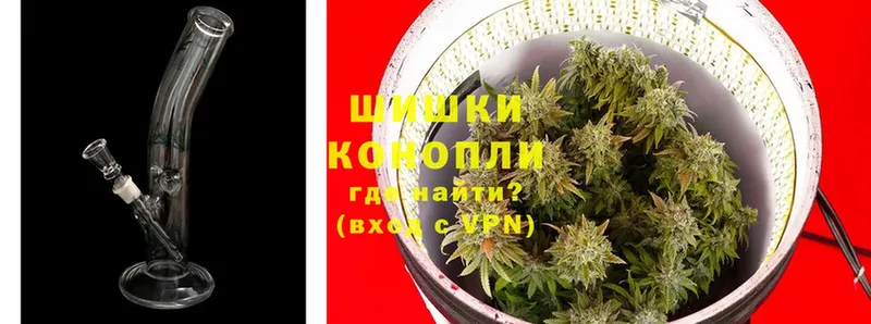 как найти   Брюховецкая  МАРИХУАНА White Widow 